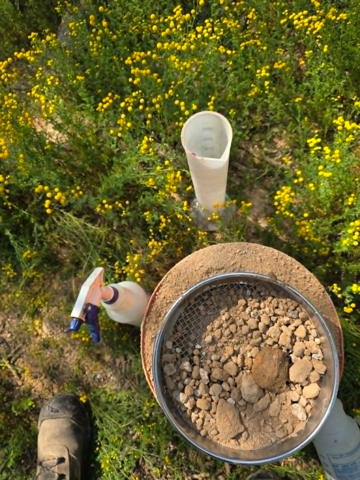 Site & Soil Evaluations